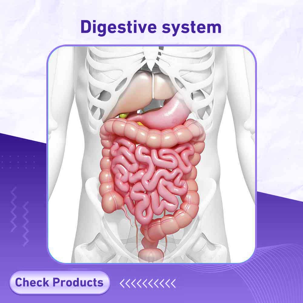 digestive system - Milano Pharmacy