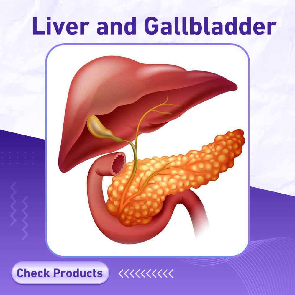 Liver and Gallbladder - Milano Pharmacy