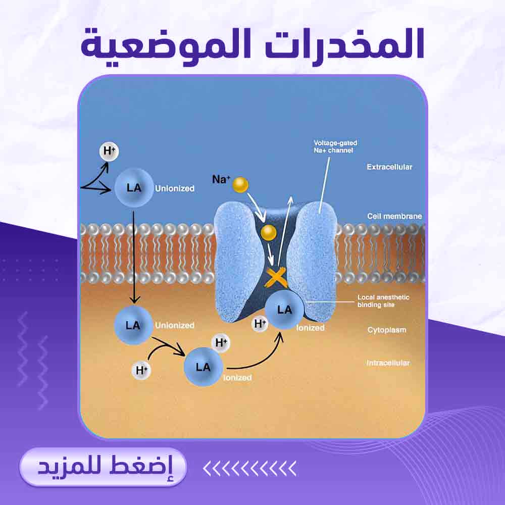 المخدرات الموضعية - صيدلية ميلانو