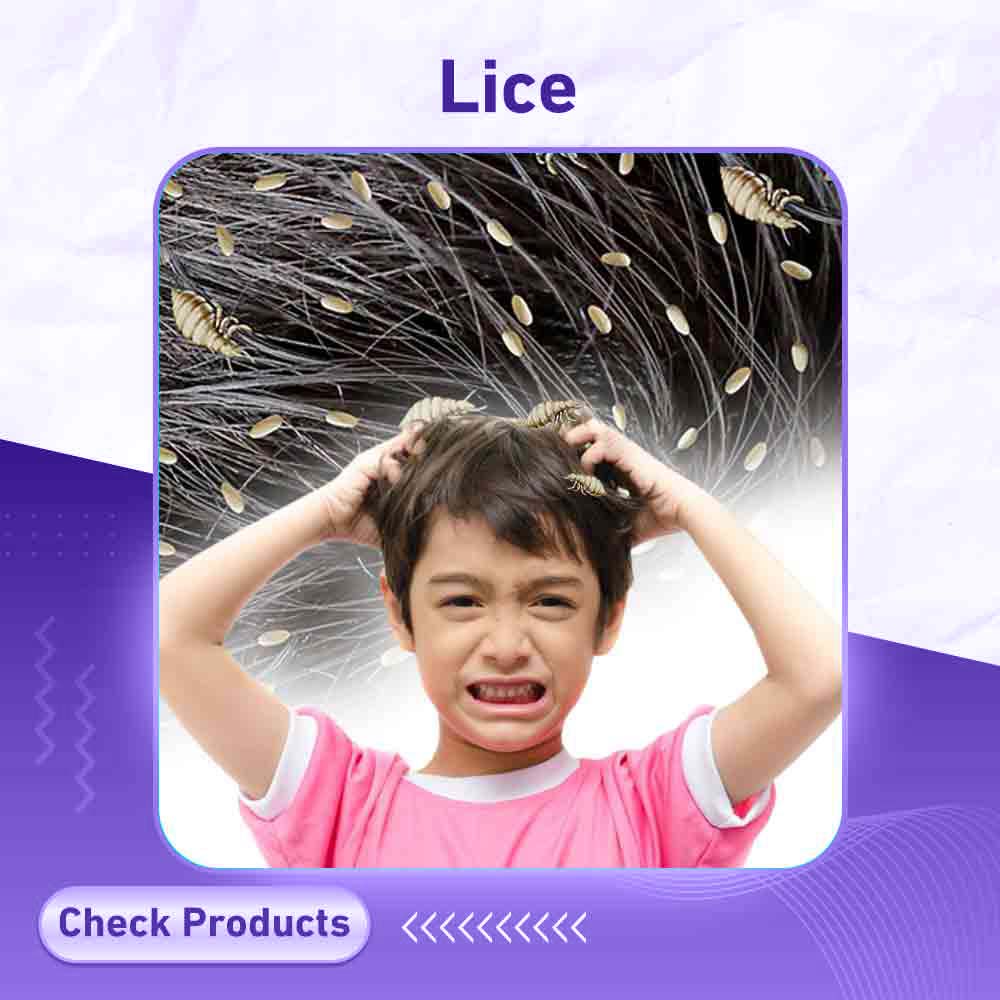 lice - Milano Pharmacy