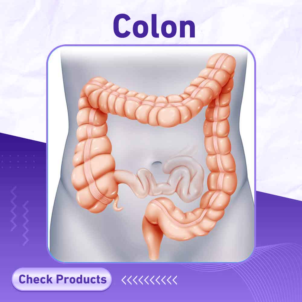 colon - Milano Pharmacy